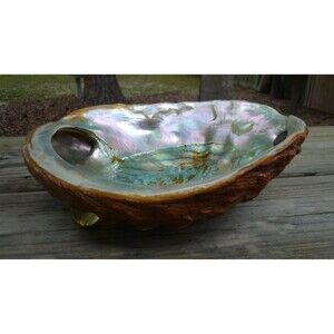 Vintage Abalone Shell Trinket Dish Lucite Footed Bowl 7 3/4" Natural Decor